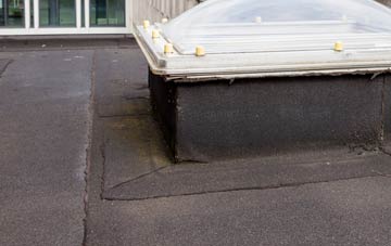 disadvantages of Snailswell flat roofs
